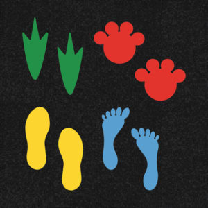 Footprints, Paw Prints Etc